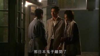 豪情国语在线观看,激情燃烧的岁月，热血沸腾的传奇